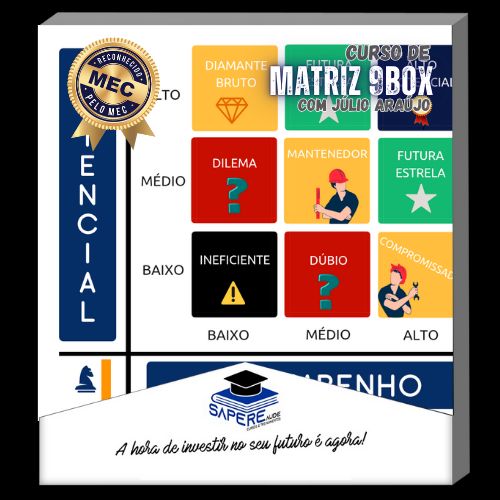 Curso de Matriz 9Box